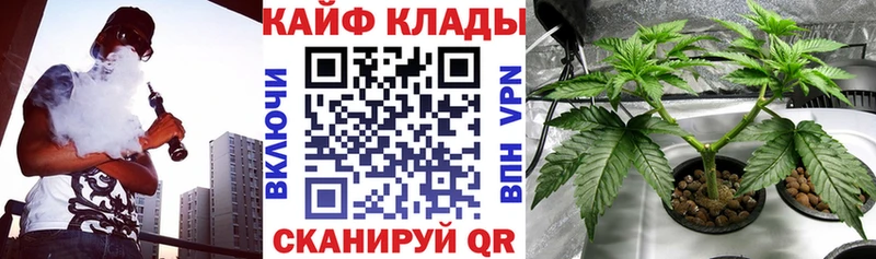 Где купить наркотики Белоярский ГАШИШ  Конопля  Псилоцибиновые грибы  A PVP  МЕФ  КОКАИН 