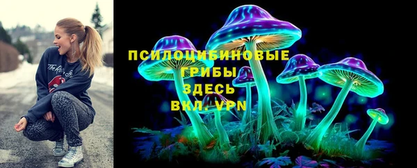 mdpv Заполярный