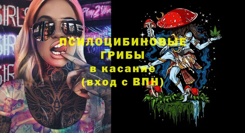 Галлюциногенные грибы Cubensis Белоярский