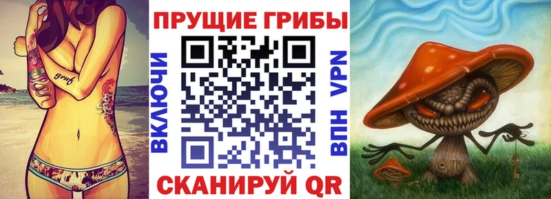 MEGA как зайти  купить  цена  Белоярский  Псилоцибиновые грибы мицелий 